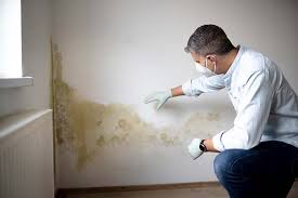 Asbestos and Lead Testing During Mold Inspection in Keeseville, NY